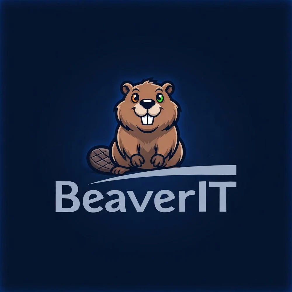 Beaver IT —
стабильный линк для вашего бизнеса